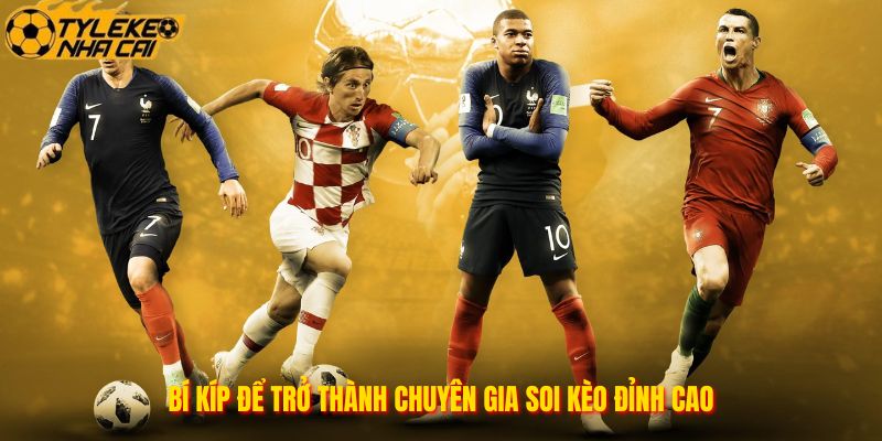 Bí kíp để trở thành chuyên gia soi kèo đỉnh cao