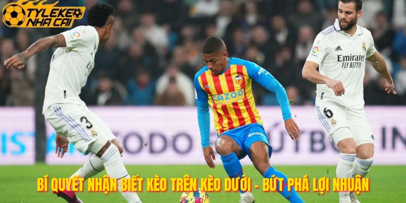 Bí Quyết Nhận Biết Kèo Trên Kèo Dưới - Bứt Phá Lợi Nhuận