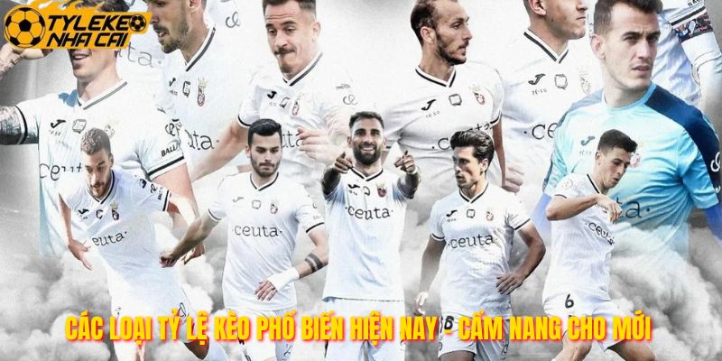 Các Loại Tỷ Lệ Kèo Phổ Biến Hiện Nay - Cẩm Nang Cho Mới