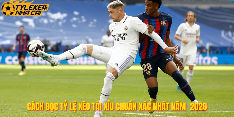 Cách Đọc Tỷ Lệ Kèo Tài Xỉu Chuẩn Xác Nhất Năm 2026