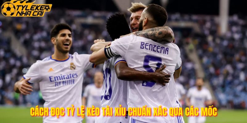 Cách đọc tỷ lệ kèo tài xỉu chuẩn xác qua các mốc
