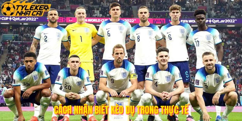 Cách nhận biết kèo dụ trong thực tế