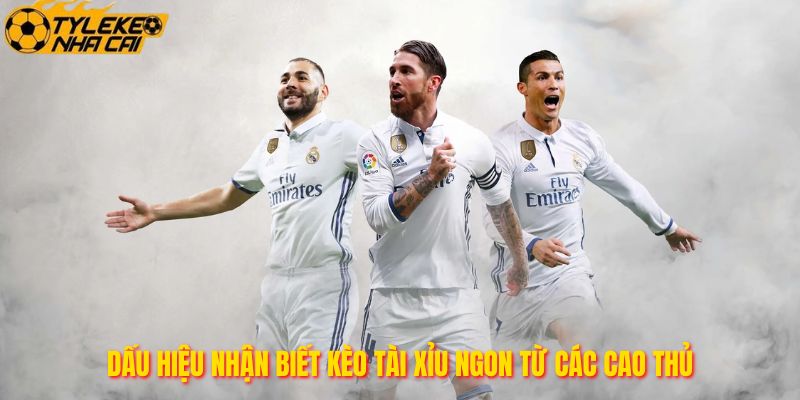 Dấu Hiệu Nhận Biết Kèo Tài Xỉu Ngon Từ Các Cao Thủ