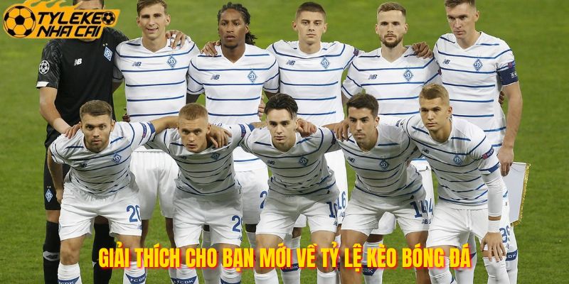 Giải thích cho bạn mới về tỷ lệ kèo bóng đá