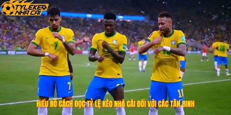 Hiểu rõ cách đọc tỷ lệ kèo nhà cái đối với các tân binh