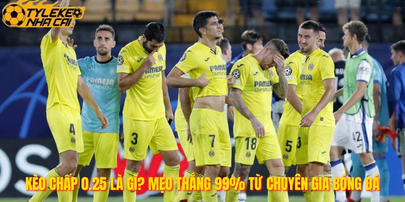 Kèo Chấp 0.25 Là Gì? Mẹo Thắng 99% Từ Chuyên Gia Bóng Đá
