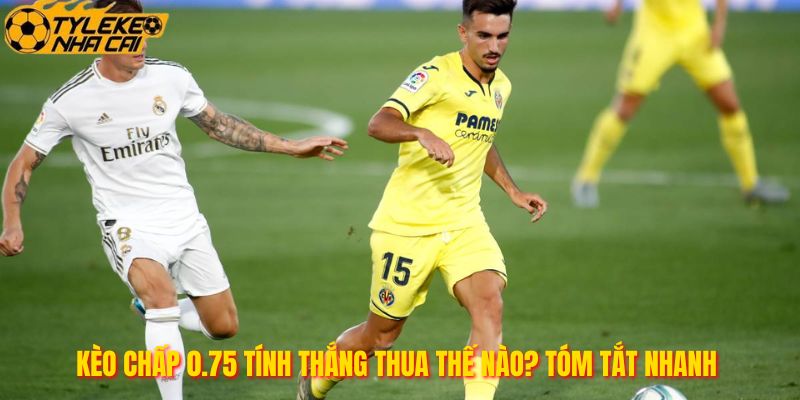 Kèo Chấp 0.75 Tính Thắng Thua Thế Nào? Tóm Tắt Nhanh