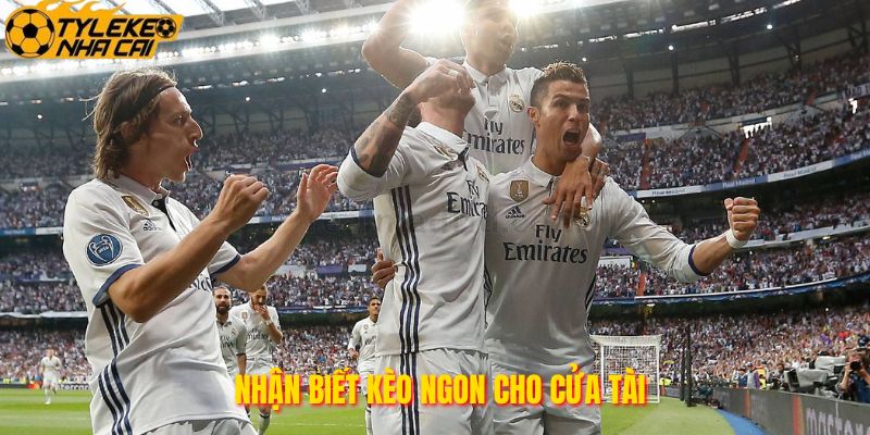 Nhận biết kèo ngon cho cửa tài
