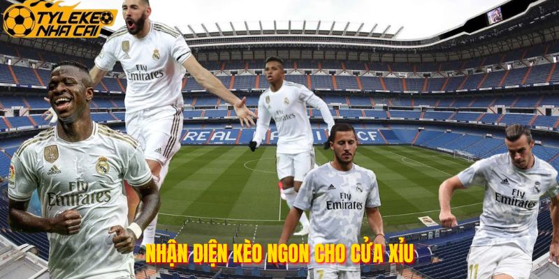 Nhận diện kèo ngon cho cửa xỉu