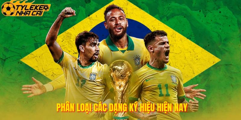 Phân loại các dạng ký hiệu hiện nay